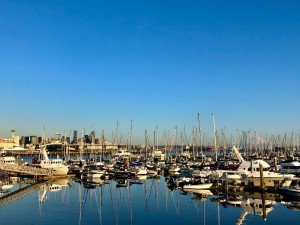 Planning a trip to Seattle Washington, boats in marina with Seattle and Mount Rainier behind