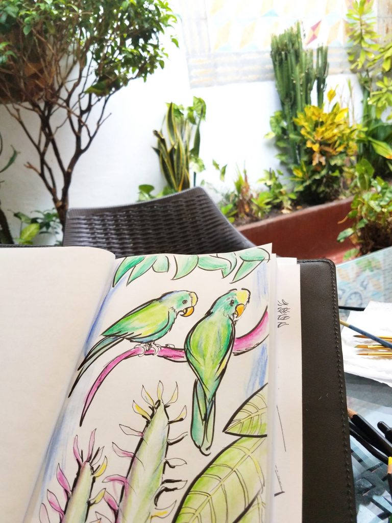 Colorful sketch in the author's nature journal of two birds